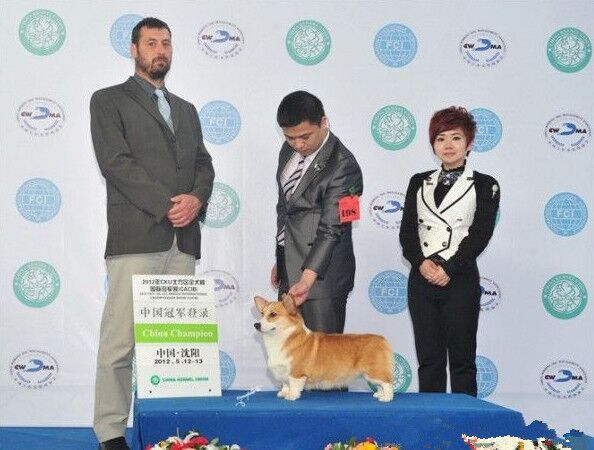 QQ图片20160129225918.jpg