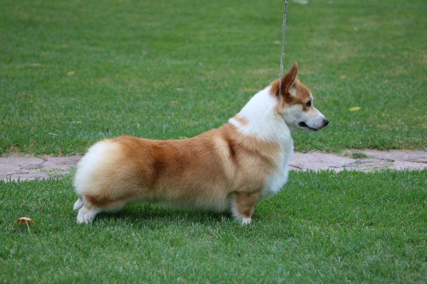 IMG_1361.JPG
