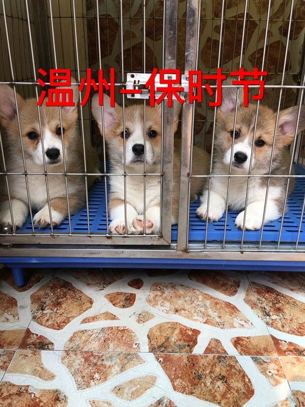 2母1公集合啦.jpg