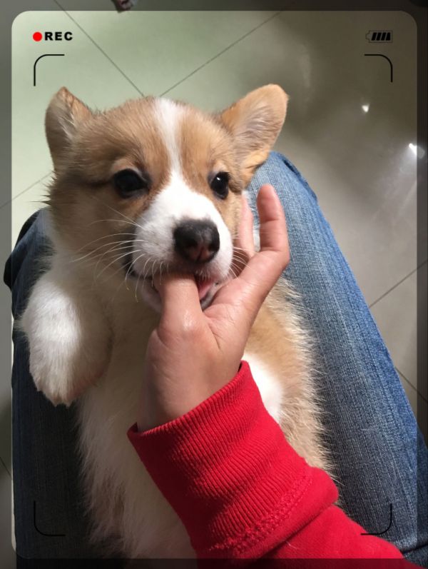 image.jpeg