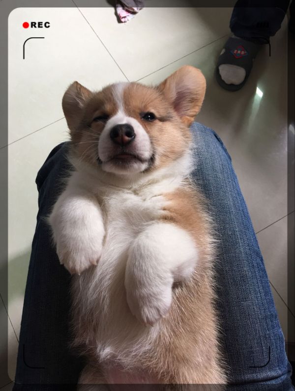 image.jpeg
