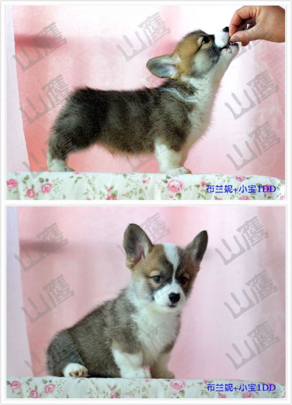 QQ图片20160411162921.jpg