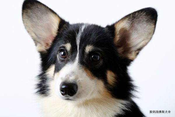IMG_4665.JPG