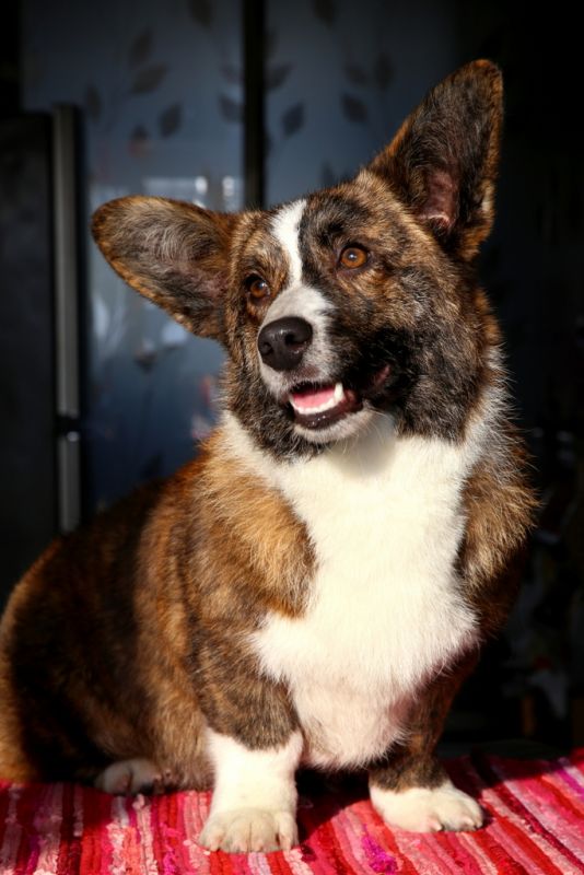 IMG_1971.JPG