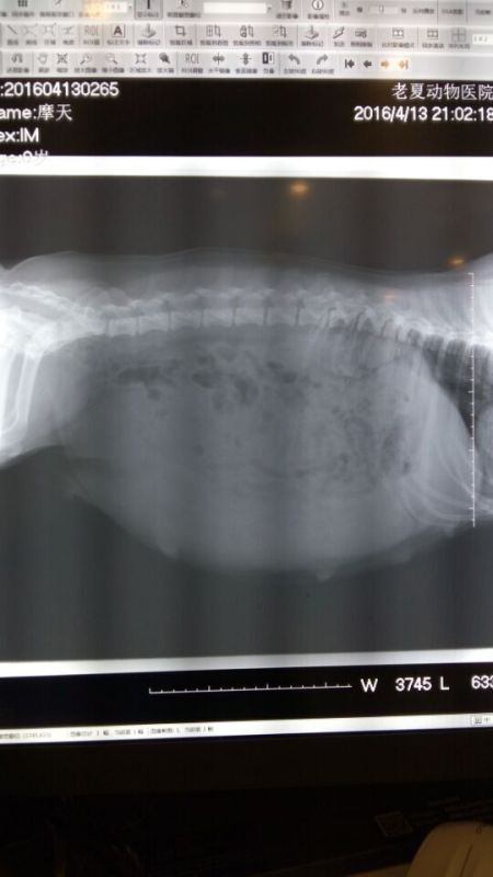 QQ图片20160414105229.jpg