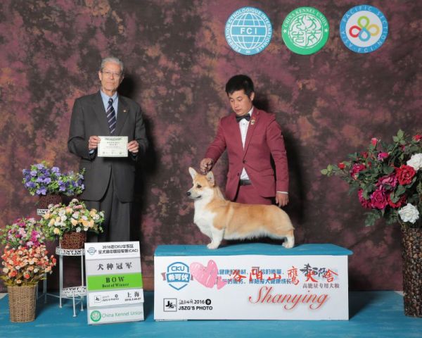 QQ图片20160416000413.jpg