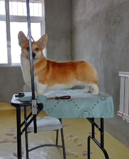 QQ图片20160411191312.png