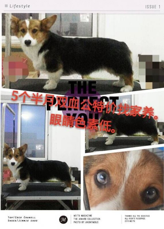 QQ图片20160418173130.jpg