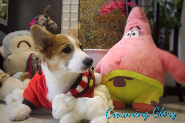 image.jpeg