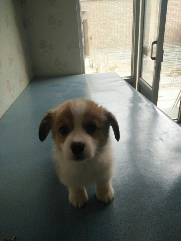589814146083798382.jpg