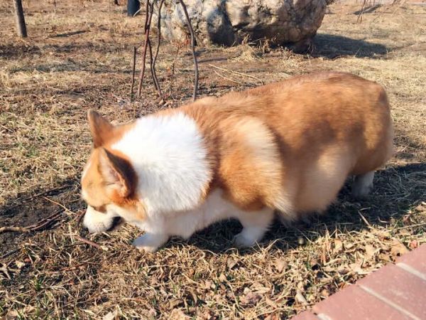 QQ图片20160325150554.jpg