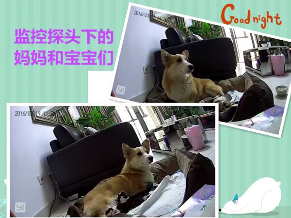 妈妈宝宝们完成.jpg