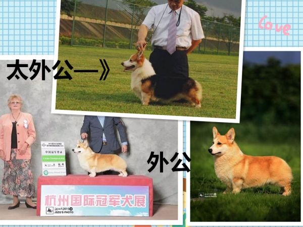 外公们完成.jpg