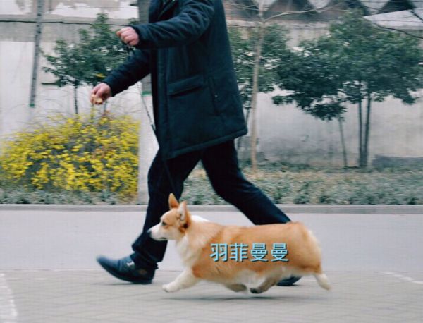 图5 美幻