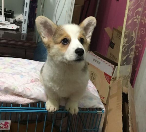 QQ截图20160328115134.jpg