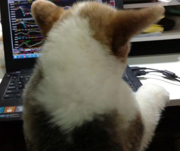 QQ截图20160328115218.jpg