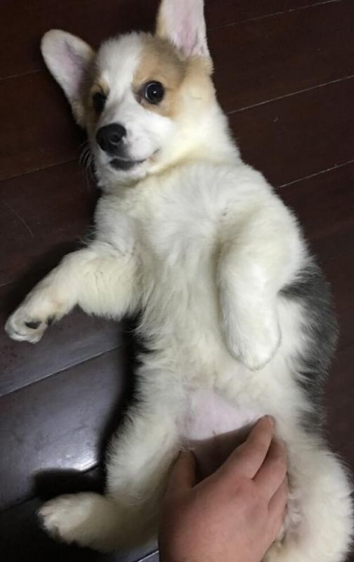 QQ截图20160328115520.jpg
