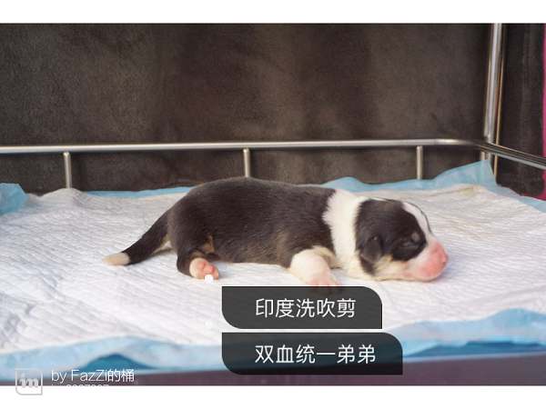 img_0792.png