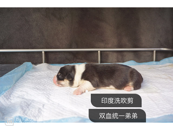img_0796.png