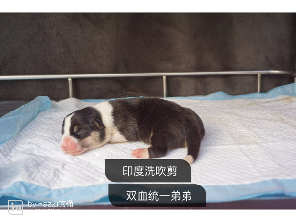 img_0797.png