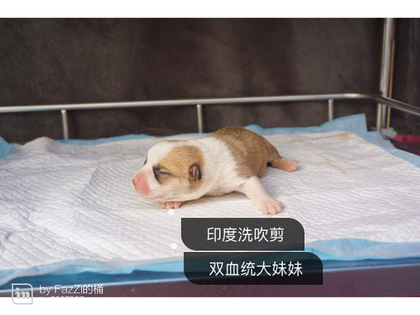 img_0802.png