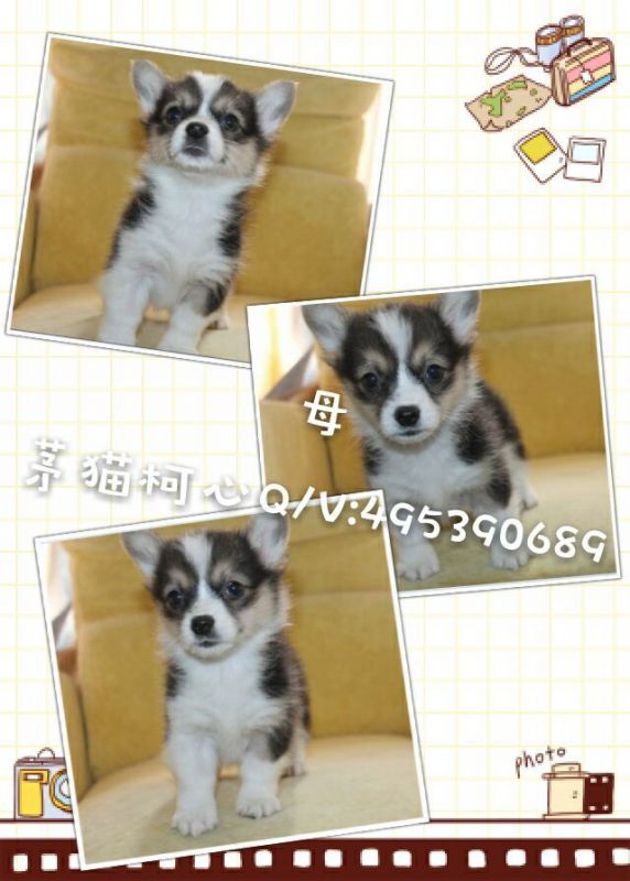 QQ图片20160428103247.jpg