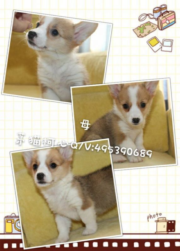 QQ图片20160428103305.jpg