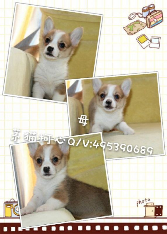 QQ图片20160428103313.jpg