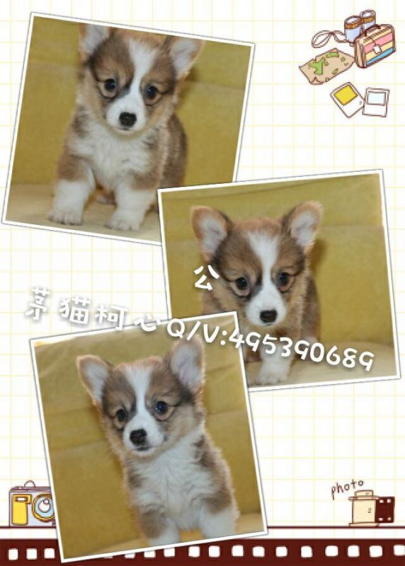 QQ图片20160428103322.jpg