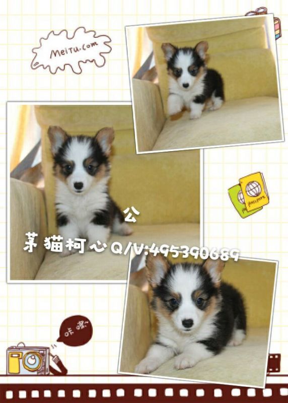 QQ图片20160428103347.jpg