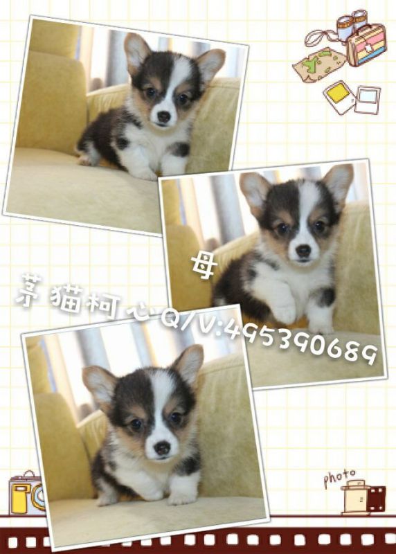 QQ图片20160428103330.jpg