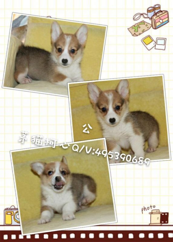 QQ图片20160428103338.jpg