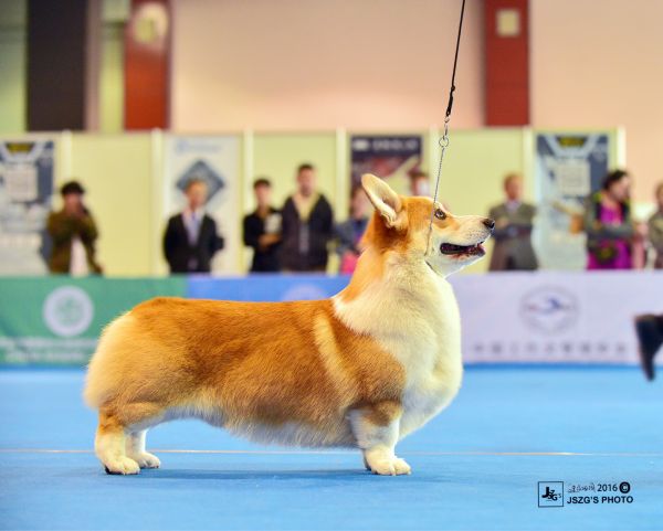 psbB7OV75NQ.jpg