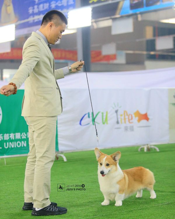 psbOT49K5MQ.jpg