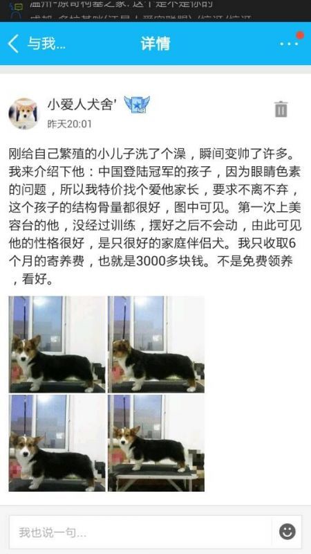 175806douuwuw0zoe9xo4v_jpg_thumb.jpg