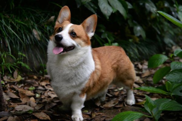 DSC_7084.jpg