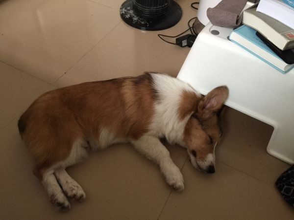 侧面躺