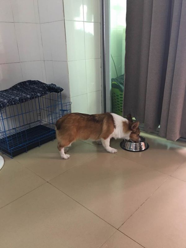 侧面站立