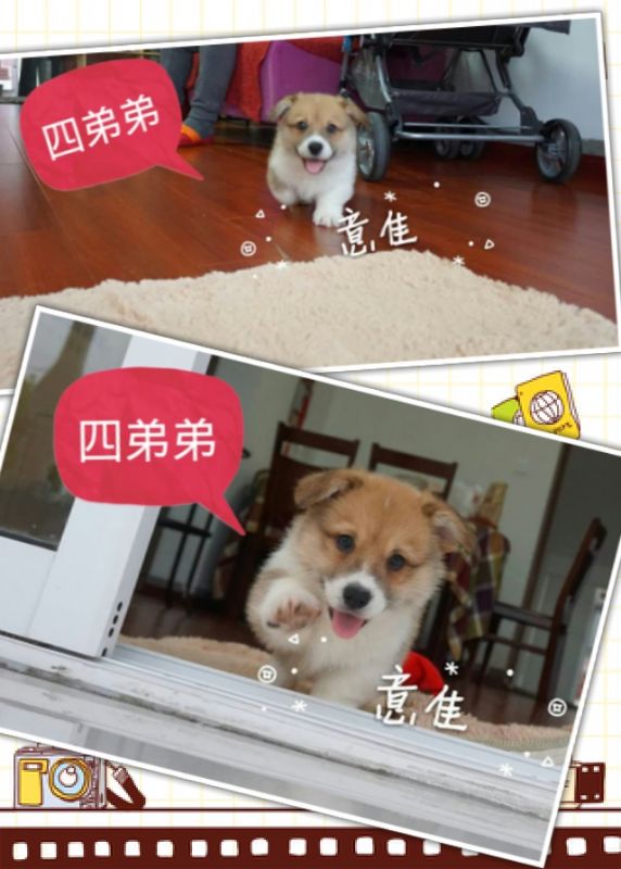 QQ图片20160506144211.jpg