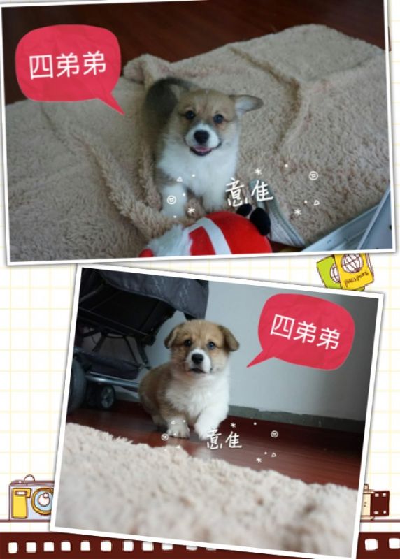 QQ图片20160506144206.jpg