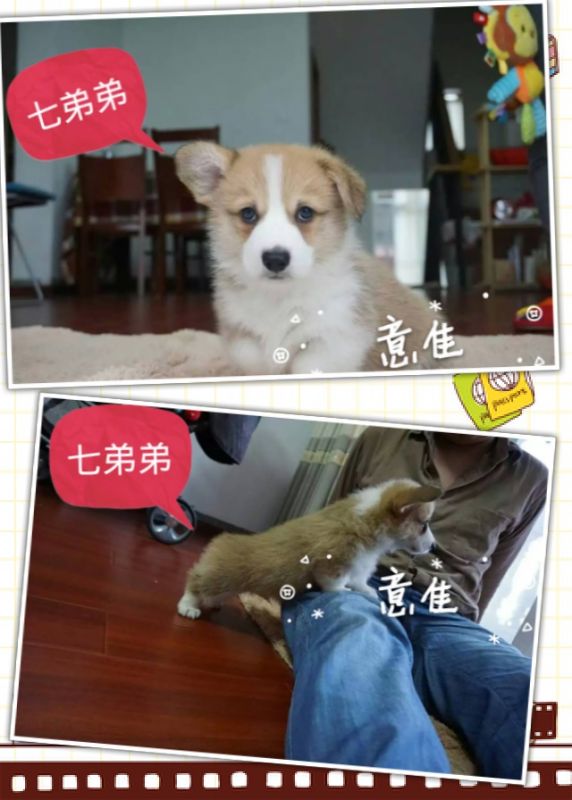 QQ图片20160506144223.jpg