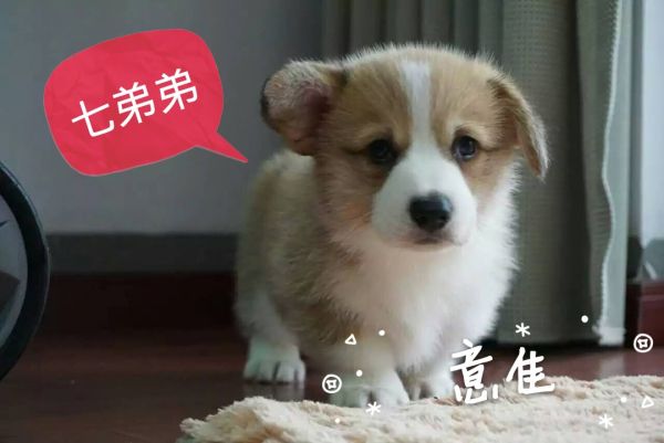 QQ图片20160506144137.jpg