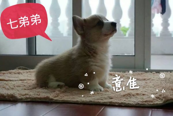 QQ图片20160506144153.jpg