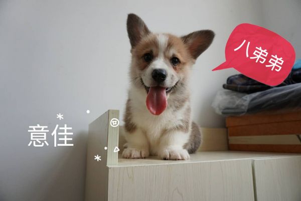 QQ图片20160506144200.jpg