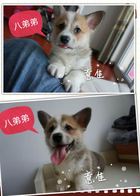 QQ图片20160506144216.jpg