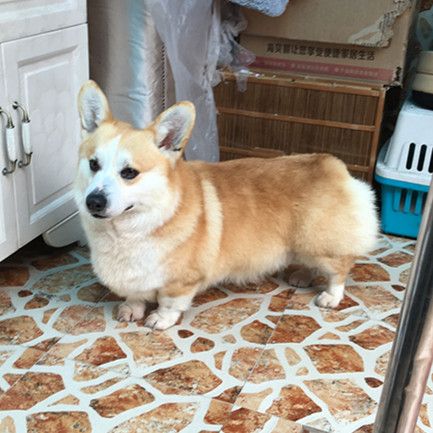 小意1.jpg