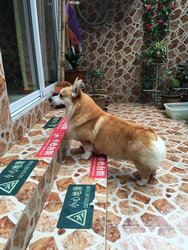 小意3.jpg