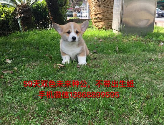 小意 儿子.jpg