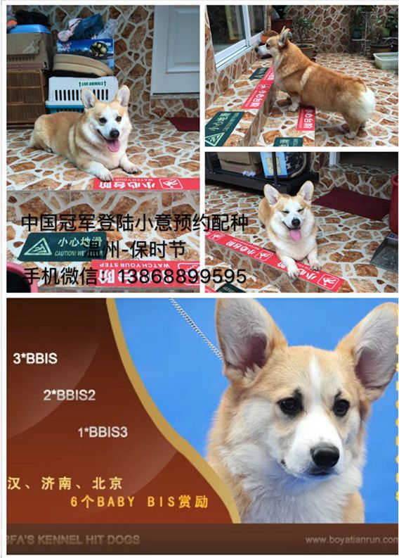 小意.jpg