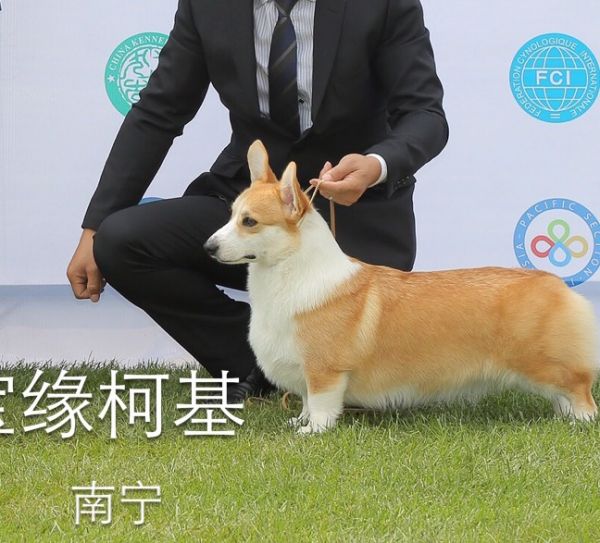 80856